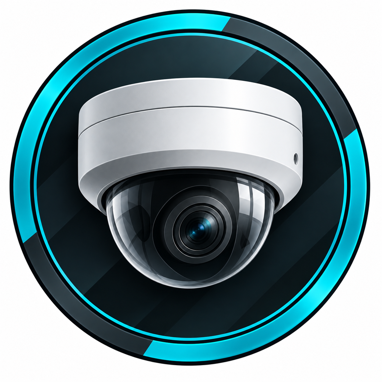 IP Camera Solutions
